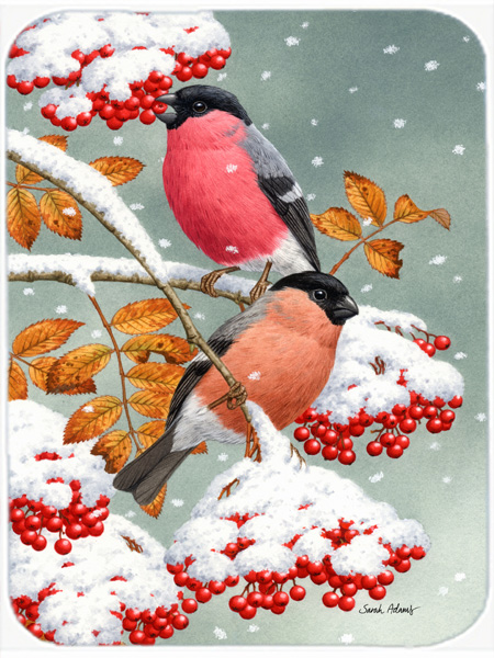 Picture of Carolines Treasures ASA2063LCB Eurasian Bullfinches Glass Cutting Board- Large
