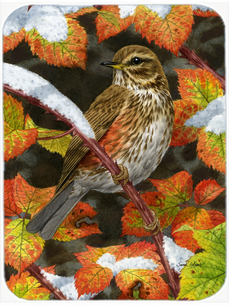 Picture of Carolines Treasures ASA2067LCB Redwing Glass Cutting Board- Large