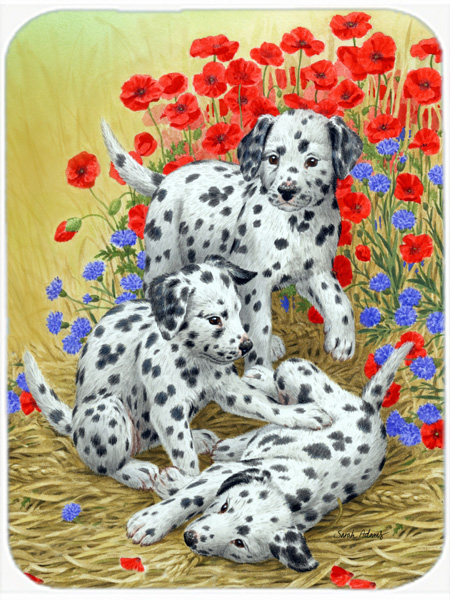 Picture of Carolines Treasures ASA2071LCB Dalmatian Pups Glass Cutting Board- Large