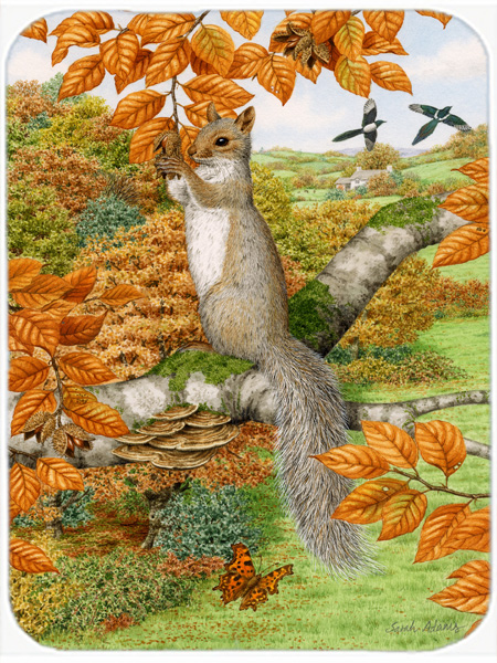 Picture of Carolines Treasures ASA2074LCB Grey Squirrel Glass Cutting Board- Large