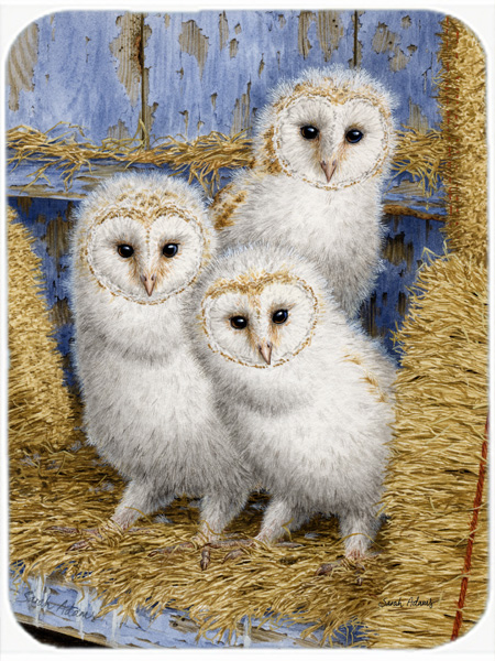 Picture of Carolines Treasures ASA2076LCB Barn Owl Chicks Glass Cutting Board- Large