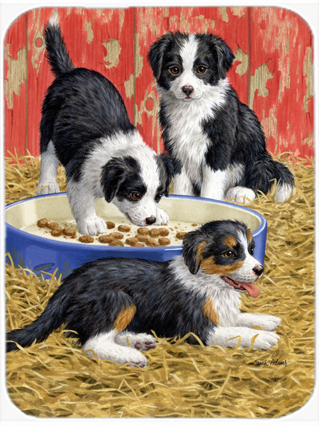 Picture of Carolines Treasures ASA2079LCB Border Collie Pups Glass Cutting Board- Large