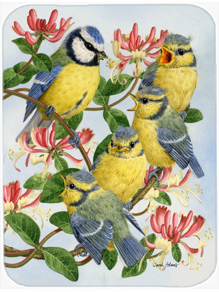 Picture of Carolines Treasures ASA2081LCB Eurasian Blue Tits At Feeding Time Glass Cutting Board- Large