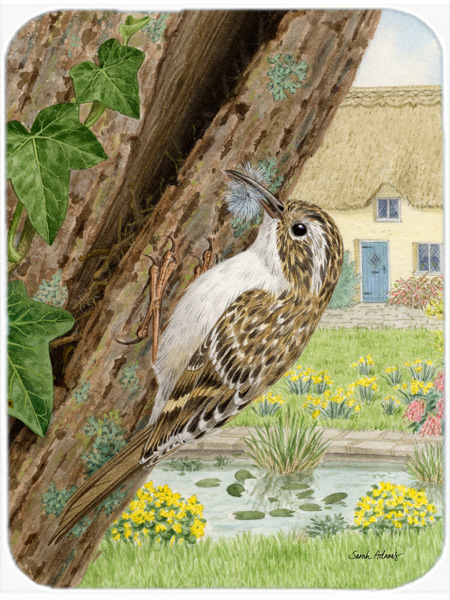 Picture of Carolines Treasures ASA2094LCB Treecreeper Glass Cutting Board- Large