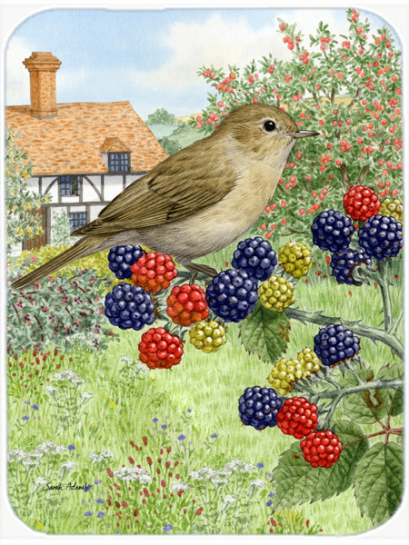 Picture of Carolines Treasures ASA2096LCB Garden Warbler Glass Cutting Board- Large