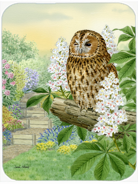Picture of Carolines Treasures ASA2101LCB Tawny Owl Glass Cutting Board- Large