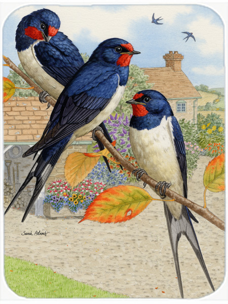 Picture of Carolines Treasures ASA2106LCB Barn Swallows Glass Cutting Board- Large