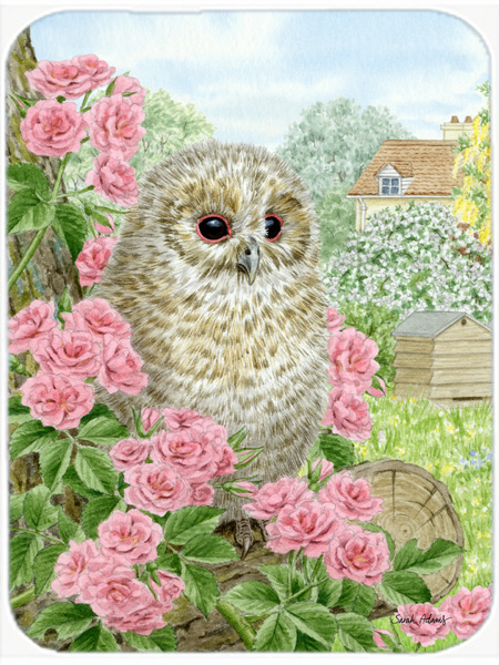 Picture of Carolines Treasures ASA2109LCB Tawny Owlet Glass Cutting Board- Large