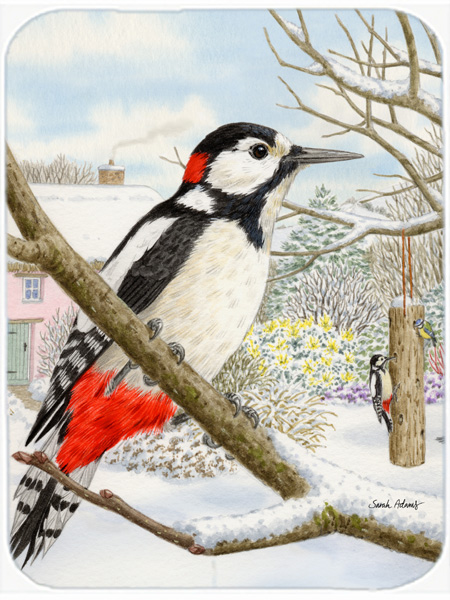 Picture of Carolines Treasures ASA2113LCB Spotted Woodpecker Glass Cutting Board- Large