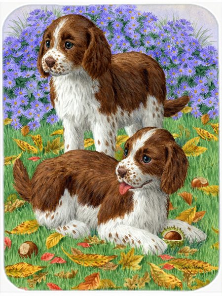 Picture of Carolines Treasures ASA2116LCB Welsh Springer Spaniel Pups Glass Cutting Board- Large