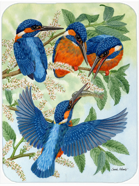 Picture of Carolines Treasures ASA2120LCB Kingfisher Family Glass Cutting Board- Large