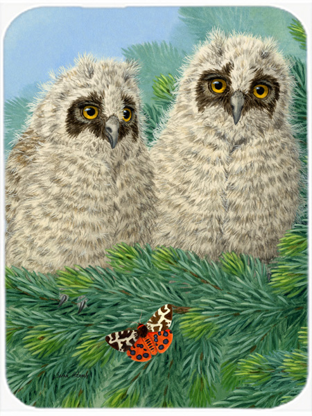 Picture of Carolines Treasures ASA2126LCB Owlets Glass Cutting Board- Large