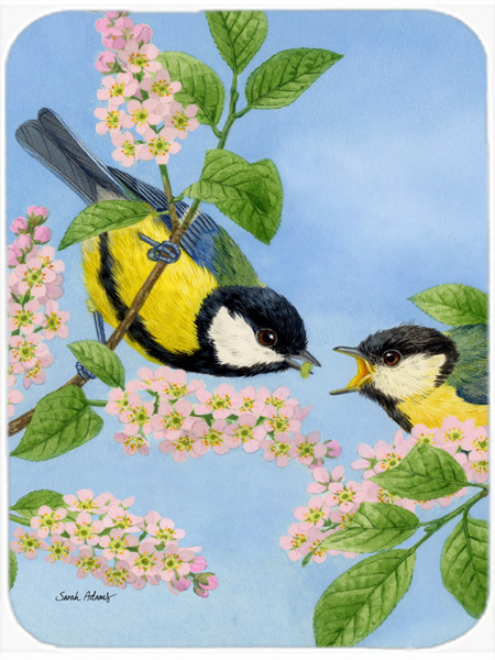 Picture of Carolines Treasures ASA2128LCB Eurasian Blue Tits Birds Glass Cutting Board- Large