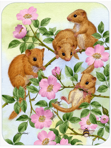 Picture of Carolines Treasures ASA2136LCB Dormice Dormouse Glass Cutting Board- Large