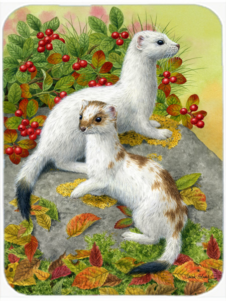 Picture of Carolines Treasures ASA2138LCB Ermine Stoat Short-Tailed Weasel Glass Cutting Board- Large