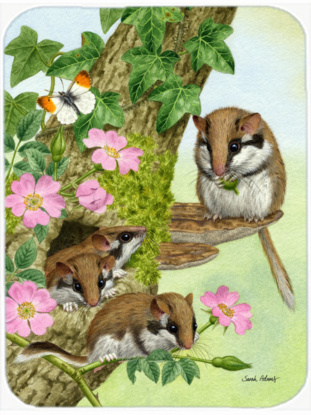 Picture of Carolines Treasures ASA2139LCB Dormice Dormouse Glass Cutting Board- Large