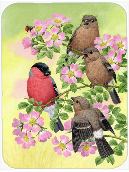 Picture of Carolines Treasures ASA2154LCB Eurasian Bullfinches Glass Cutting Board- Large