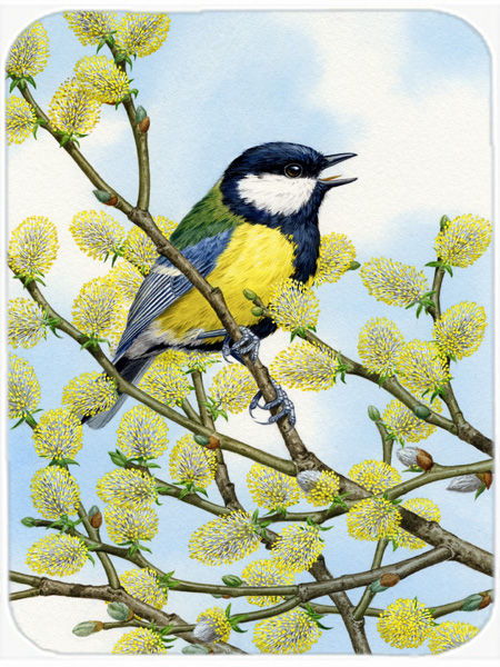 Picture of Carolines Treasures ASA2156LCB Eurasian Blue Tit On A Branch Glass Cutting Board- Large