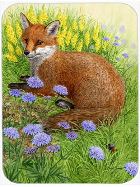 Picture of Carolines Treasures ASA2160LCB Springtime Fox Glass Cutting Board- Large