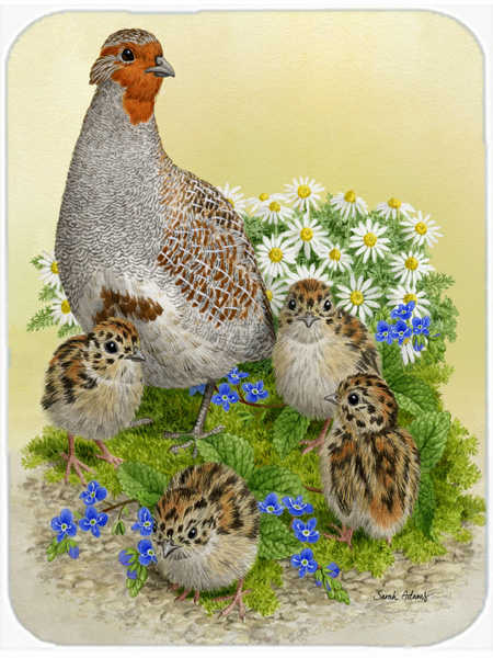 Picture of Carolines Treasures ASA2162LCB Partridge And Chicks Glass Cutting Board- Large