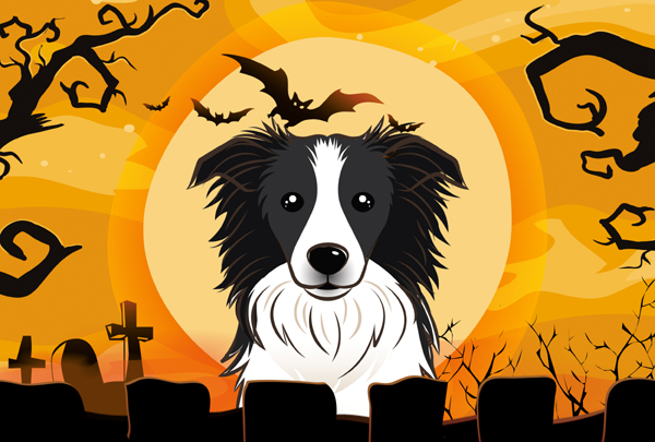 Halloween Border Collie Fabric Placemat