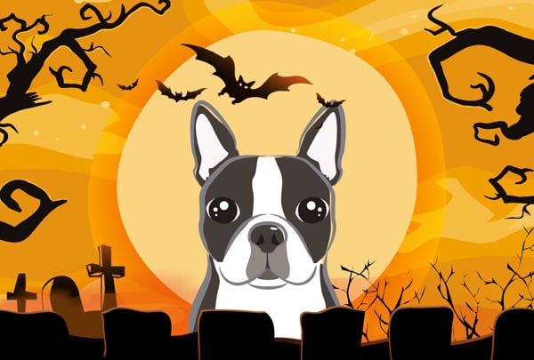 Halloween Boston Terrier Fabric Placemat