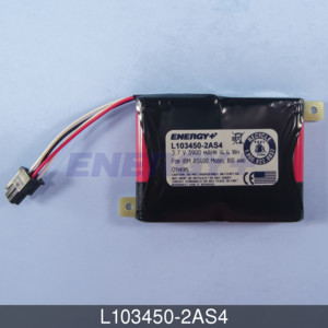 FedCo Batteries Compatible with ENERGY L103450-2AS4 Replacement Battery For IBM iSeries 2757 Cache Battery