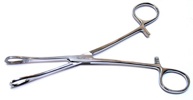 Picture of 10257 Sponge Holding Forceps Stainless Steel&#44; 7 in.