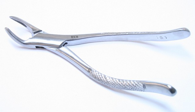Picture of 151-AP Dental Instrument 151 Extracting Forceps Stainless Steel