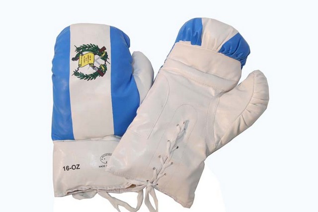Picture of 173-16 Guatemala Flag Boxing Gloves&#44; 16 oz