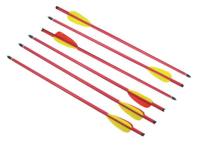 Picture of A2995 Long Metal Hunting Arrows Aluminum Body 2219 Power&#44; 20 in.