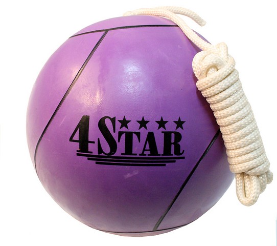 Picture of 381 New Purple Tether Ball for Play Grounds & Picnics with Rope