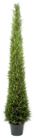 Admired by Nature GTR4630-NATURAL Artificial Cypress Leave Tower Cone Topiary in Plastic Pot- Green - 6 ft.