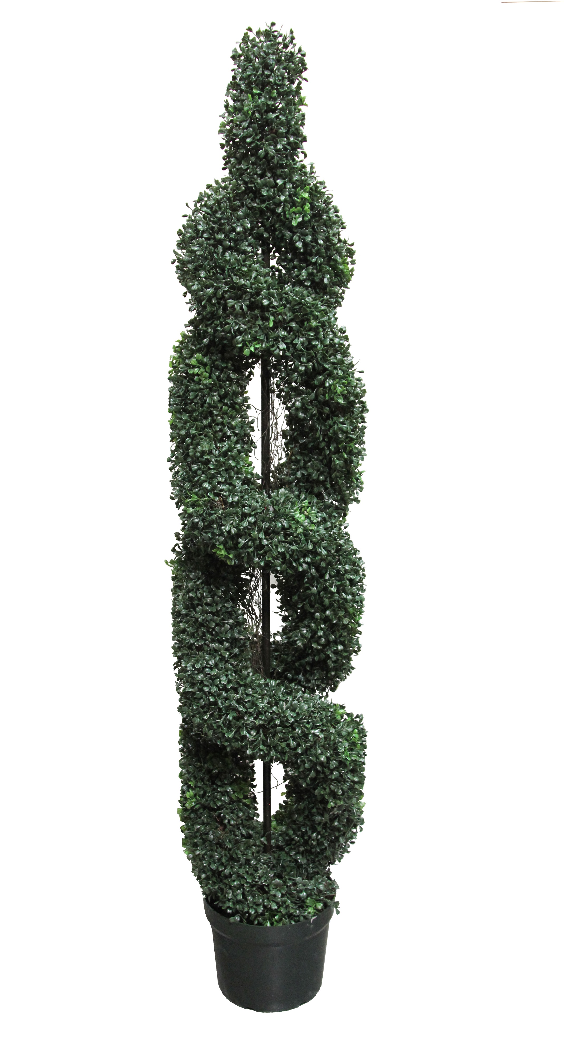 Picture of Admired by Nature GTR4631-NATURAL Artificial Boxwood Leave Double Spiral Topiary in Plastic Pot- Green - 5 ft.