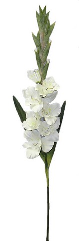 Picture of Admired by Nature GPL104-WHITE Artificial Gladiolus Spray, White - 3 x 38 in.