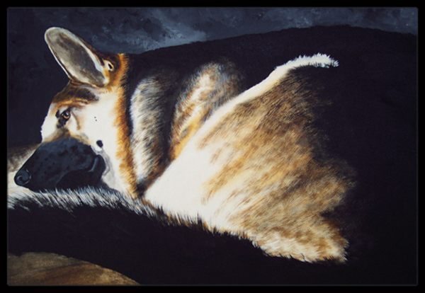 Day Dreamer German Shepherd Indoor or Outdoor Mat, 24 x 36