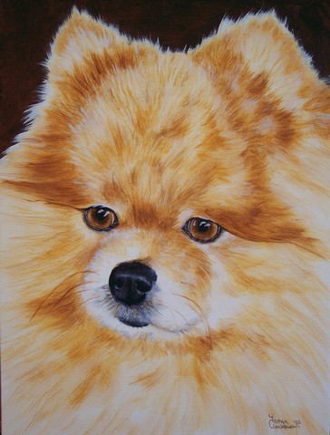 Pomeranian Flag Garden Size