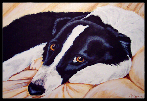 Naptime Border Collie Indoor or Outdoor Mat- 18 x 27