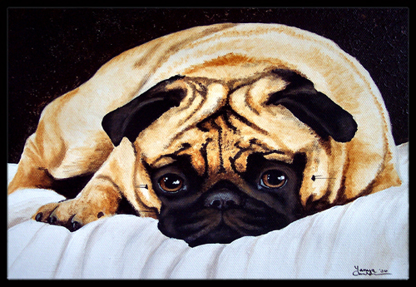 Fred the Pug Indoor or Outdoor Mat, 18 x 27