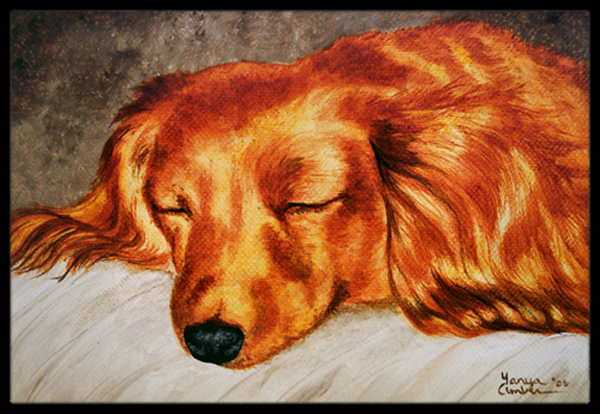 Red Longhaired Dachshund Indoor or Outdoor Mat, 24 x 36