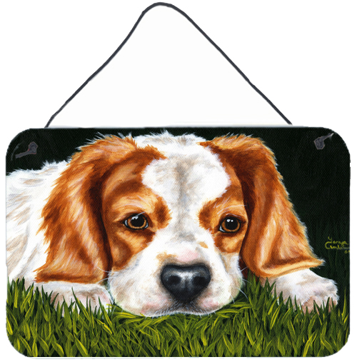 Cavalier Spaniel in the Grass Wall or Door Hanging Prints