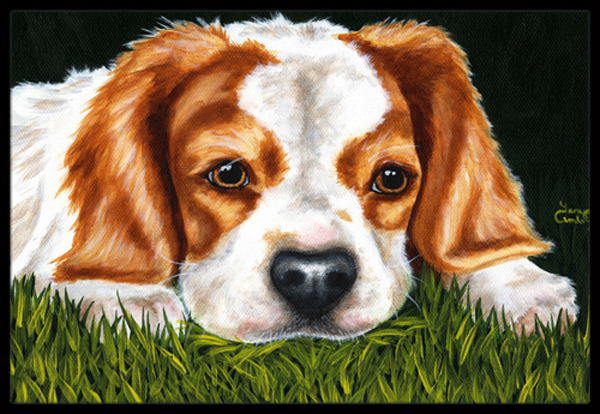 Cavalier Spaniel in the Grass Indoor or Outdoor Mat - 18 x 27