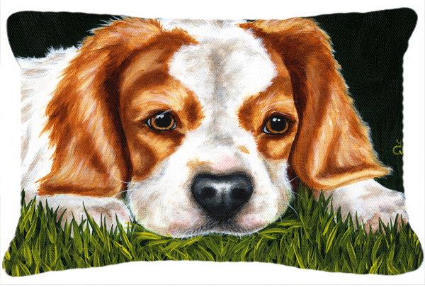 Cavalier Spaniel in the Grass Fabric Decorative Pillow