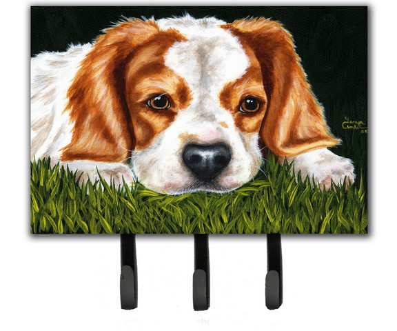 Cavalier Spaniel in the Grass Leash or Key Holder