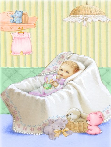 New Baby in Crib Flag Garden Size