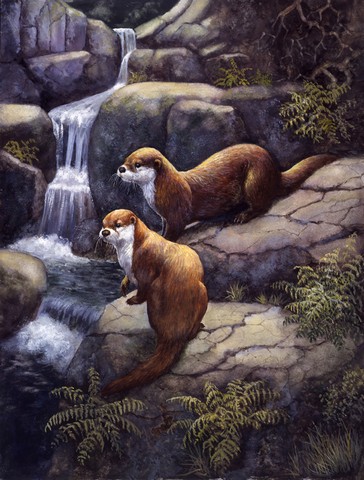 Otters by the Waterfall by Daphne Baxter Flag Size