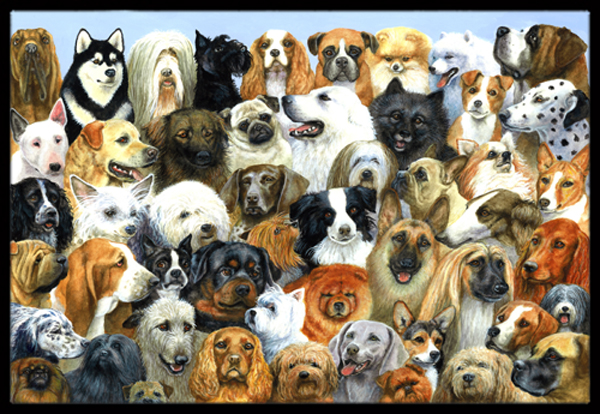 Fifty One Dogs Indoor or Outdoor Mat, 18 x 27