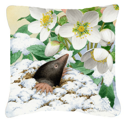 Mole by Sarah Adams Canvas Decorative Pillow