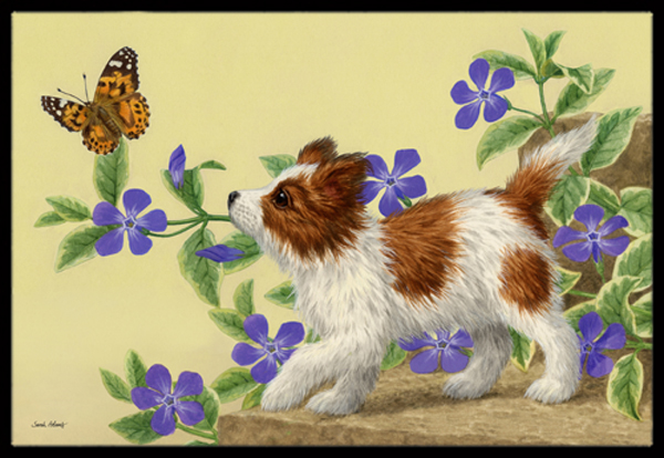 Papillon Pup Indoor or Outdoor Mat 24 x 36