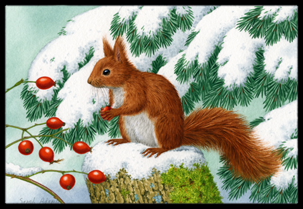 Winter Red Squirrel Indoor or Outdoor Mat, 24 x 36